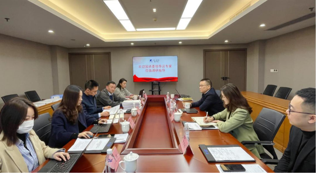 尊龙集团官网委赴尊龙集团官网集团发展合规治理专项调研